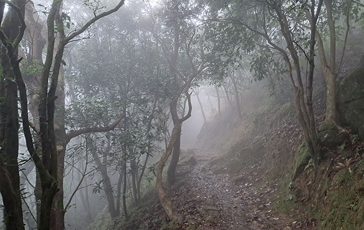 　山上氣氛。