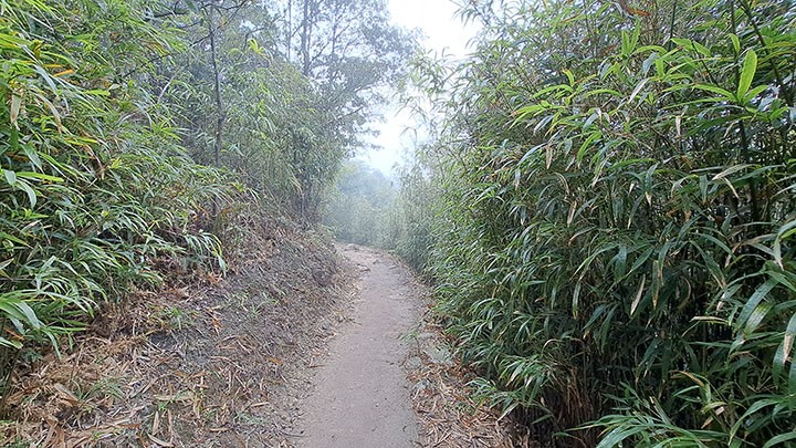 　下坡路相對平緩，還有一些平路。