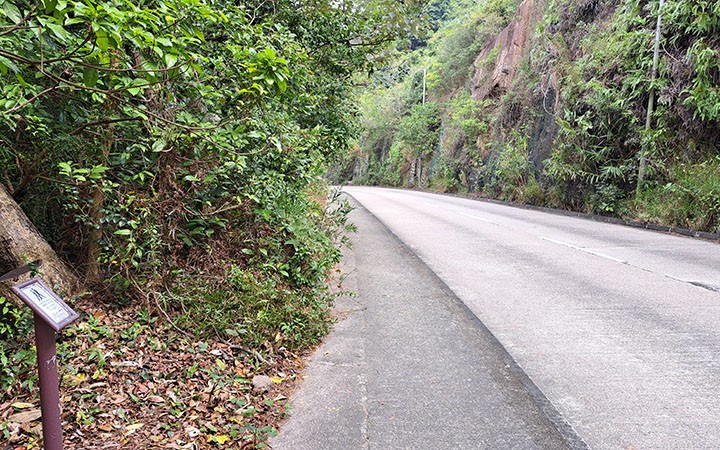 　第一段全程走車路旁的行人路，風景完全欠奉，幸好反向走下坡輕輕鬆鬆。