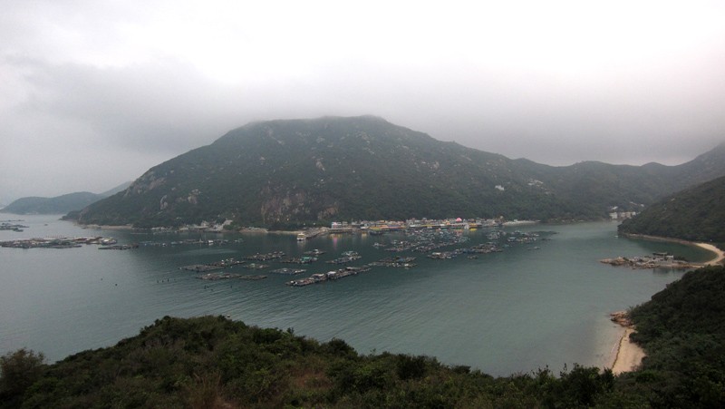 　漂亮的天然漁港。<br /><br />　不過村民明顯比榕樹灣少很多，中間明亮部分幾乎全是海鮮食肆。<br /><br />　時間六點三，走快幾步還可坐六點半的渡輪，要早些回家唱首歌給弟弟聽。