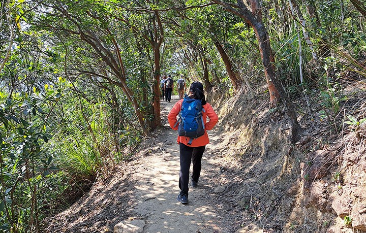 　除了山脊一兩公里比較曬外，大部份路都有樹蔭及平路，有些走路環健康徑的感覺。