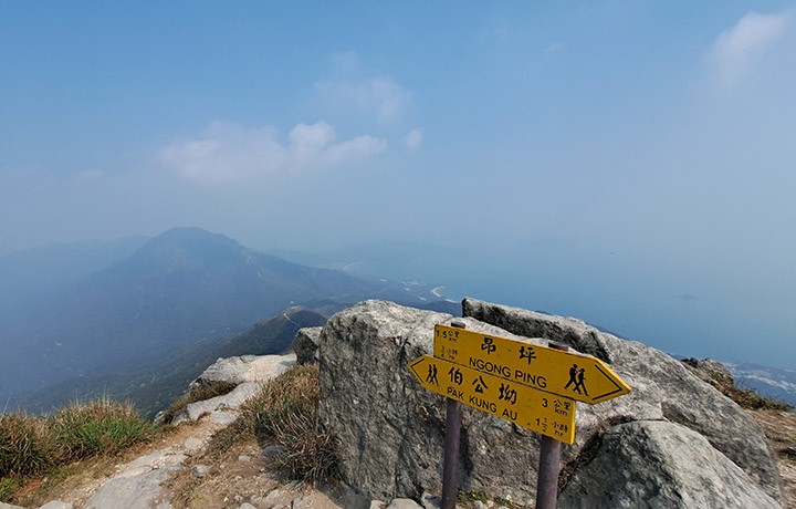 　回望大東山，上次大霧，都不知大東山什麼模樣。