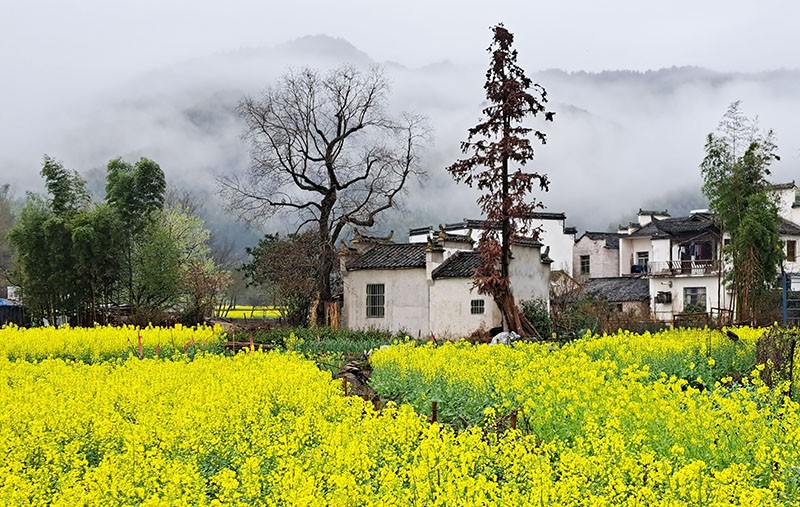 　村口景色。