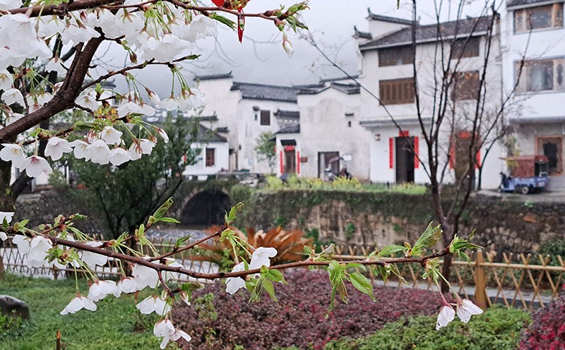 　村口景色。