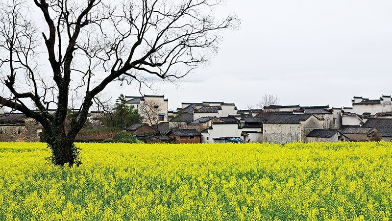 　後村風光。