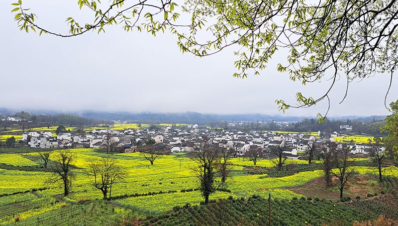 　盧村靠山臨水，前低後高，村後高地能更好地欣賞全村美景。