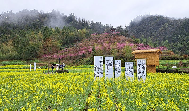 　不遠處有個小山丘，山丘上有瞭望台。