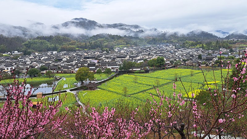 　觀景台可以俯瞰西遞全景。皖南古村落除了形態相近外，村莊與地形、地貌及山水的結合也都很巧妙，山水都很自然地經過村落。