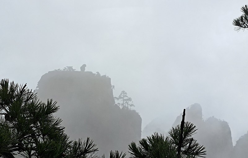 　也終於看到「猴子觀海」了，剛到時還很清晰，但有不少人在拍照，打算先等一會兒吧，哪知雲霧又回來了，只好快拍一張，兩三分鐘後，「猴子觀海」又消失於大霧中了。