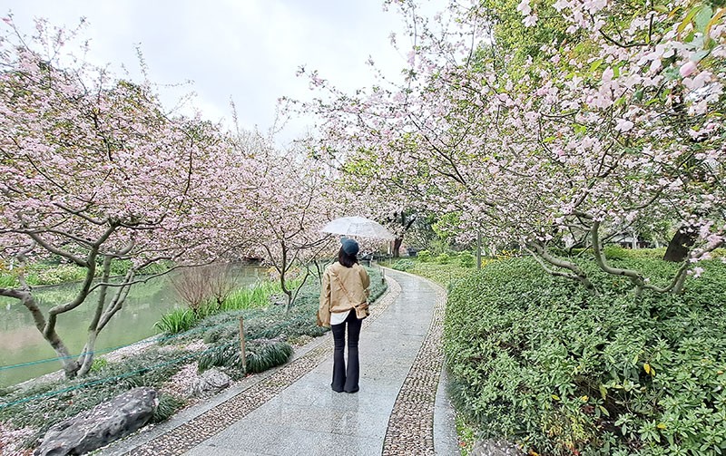 　杭州美景三月天，春雨如酒柳如煙；有緣千里來相會，無緣對面手難牽。