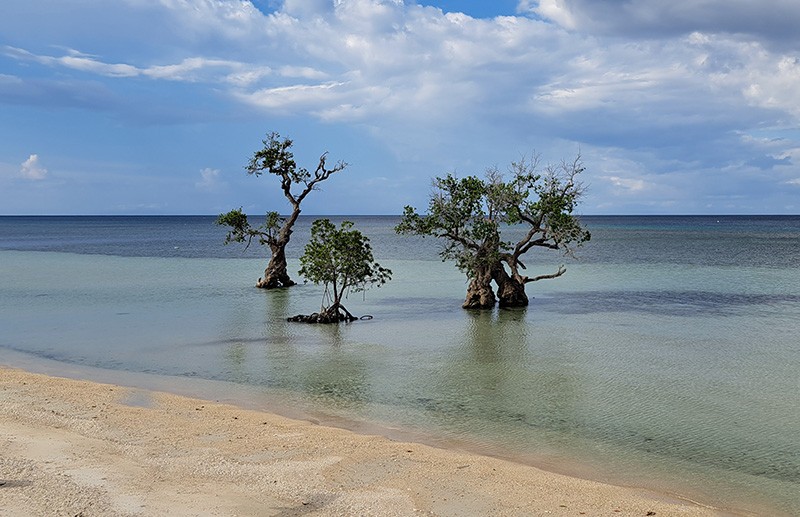 　Tulapos Marine Sanctuary國家公園。<br /><br />　回來才知這裡有成群結隊的梭子魚組成了“海狼風暴”，成為錫島獨特的風景，通常在其他地方深潛才能看到，而在這裏只需要浮潛便可以輕鬆體驗。