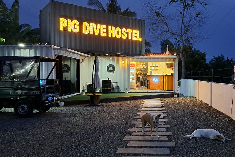 　PIG DIVE HOSTEL，據說是台灣人開的青年旅館，評分非常高，有不同活動供客人選擇。