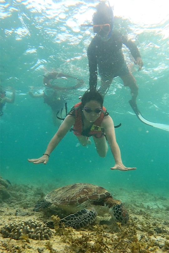 　游了二三十米，就見到一隻海龜。因為穿著救生衣不會沉下去，只能導遊幫手按下去，另一位導遊負責拍照。
