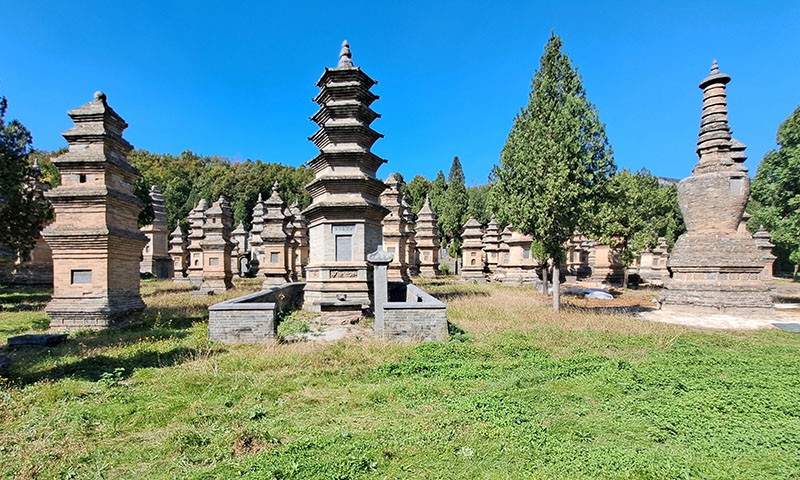 　少林寺塔林是少林寺歷代德高望重的僧侶的歸宿之地，因塔類繁多，大小參差、高低不同，粗細不一，形狀各異，排列散亂，看似茂林，故被稱為“塔林”， 現存唐、宋、元、明、清時期的磚石墓塔240多座。<br /><br />　當年看電影《少林寺》時，塔林也是主要場景之一，印象深刻。