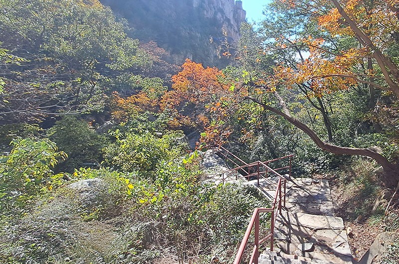 　後半段沒那麼陡，輕鬆下山。