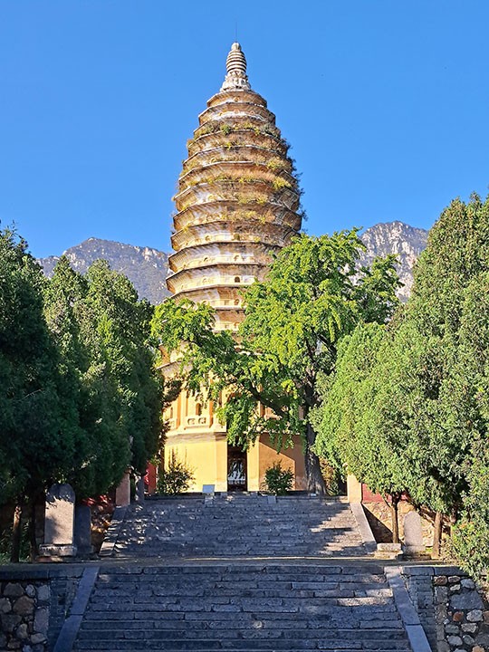 　嵩嶽寺塔，位於法王寺附近，是一座密簷式佛塔。該塔建成於北魏正光（520年～525年）年間，是中國境內現存最古老的密簷塔，同時該塔也被認定為中國其他密簷式塔的原型。該塔平面呈十二角形，在中國境內的密簷式塔中僅此一例。嵩岳寺塔通高39.8米，由下至上分別由台基、塔身、塔簷和塔剎組成。塔身內有塔室，塔室下有地宮。塔簷共有15層，塔剎內有2座天宮。1961年，嵩嶽寺塔被列為全國重點文物保護單位。