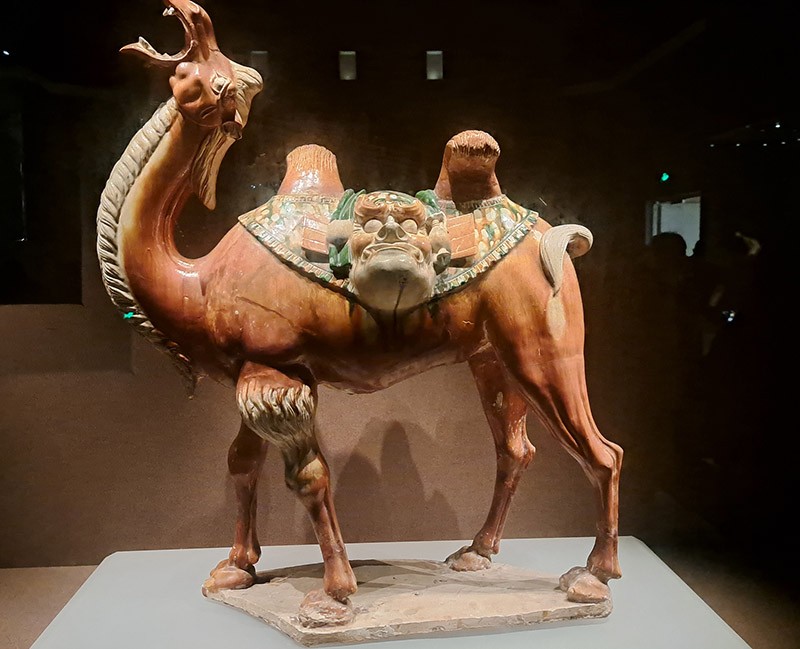 　三彩駱駝（唐），1981年出土于洛陽龍門安菩夫婦墓。<br /><br />　唐三彩中，除了馬之外，另外一個最為常見的題材便是駱駝。洛陽作為絲綢之路的起點，在唐朝時，對外的經濟和文化上交流都達到了一個鼎盛時期。三彩駱駝體形高大，昂首嘶鳴，負囊呈緩行狀，尾卷於臀部。在其雙峰之處，搭有獸面的馱囊，面部獰厲，巨目猙獰，與優美穩健的駱駝呈完美對比。