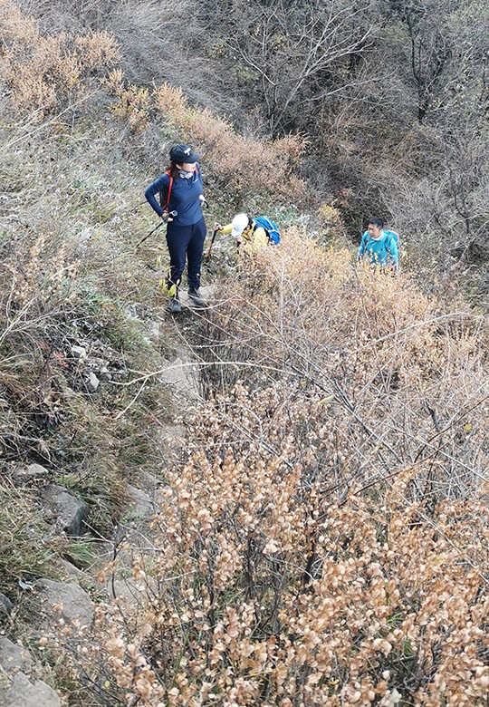 　雖然是不斷的上坡，但山路對比台階沒那麼無聊。