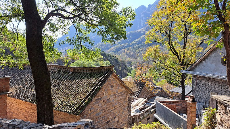 　幾十戶人家依勢坐落在山坳裡，房子不分行，不成排，錯落有致，參差不齊。