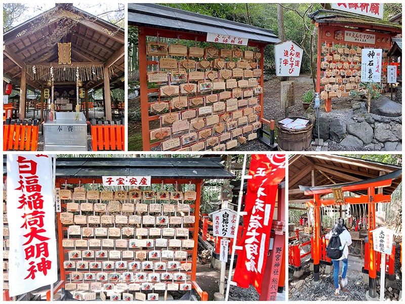 　鳥居進去就是不大的本殿，本殿供奉著野宮大神，據傳在保佑身體健康及智慧開竅方面特別的靈驗。<br /><br />　野宮神社不大，但還安奉著「締結良緣」、「等孕求子」、「學業進步」的神明；最裡面敬奉著掌管交通安全的大山弁財天神明，這對我們最有用。