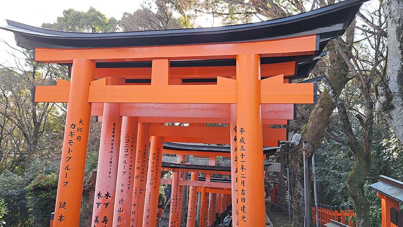 　山頂除了鳥居也是鳥居，停留幾分鐘後下山。