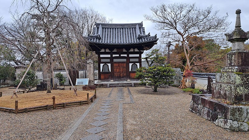 　日本廟宇等古建，感覺很重視植物的搭配，估計除了冬季外，其他季節都會更漂亮。這裡除了也有櫻花紅楓外，每年4月底到5月初盛開的紫藤花，也是這裡的一大美景。