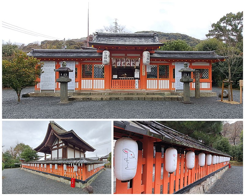 　宇治神社除了被指定為日本國家文化財的本殿之外，境內隨處可見可愛的兔子雕像，以及兔子造型的繪馬、御守等。