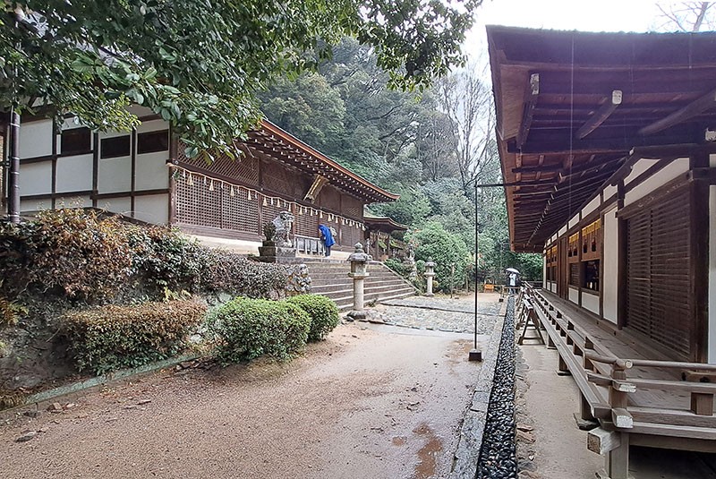 　位於拜殿後面的本殿，主要供奉菟道稚郎子，應神天皇與仁德天皇，被認為是現存最古老的神社建築，該是日本國寶中的國寶了。