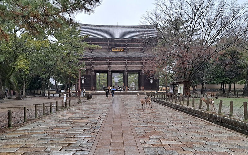 　趁雨小些，東大寺關門前去參觀一下。<br /><br />　在前往大佛殿的參道途中，首先會經過高達25公尺，號稱日本最大規模的巨大山門——南山門。