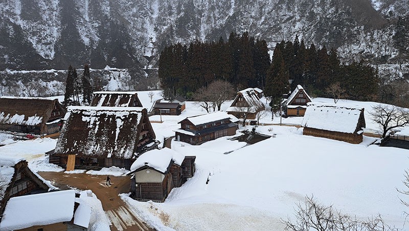 　對比之下，陡峭的合掌造比旁邊新建的房屋除雪效果好多了。