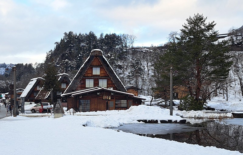 　目前白川鄉共有113棟合掌造建築，有一些改建為民宿、餐館、咖啡館和紀念品商店等。