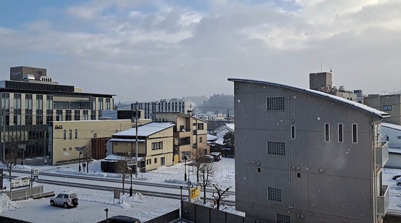 　今早醒來時，有幸見到鵝毛細雪，只見一片片的雪花慢慢飄下來，數量不算多，但一看停車場，車頂已鋪滿白雪了。