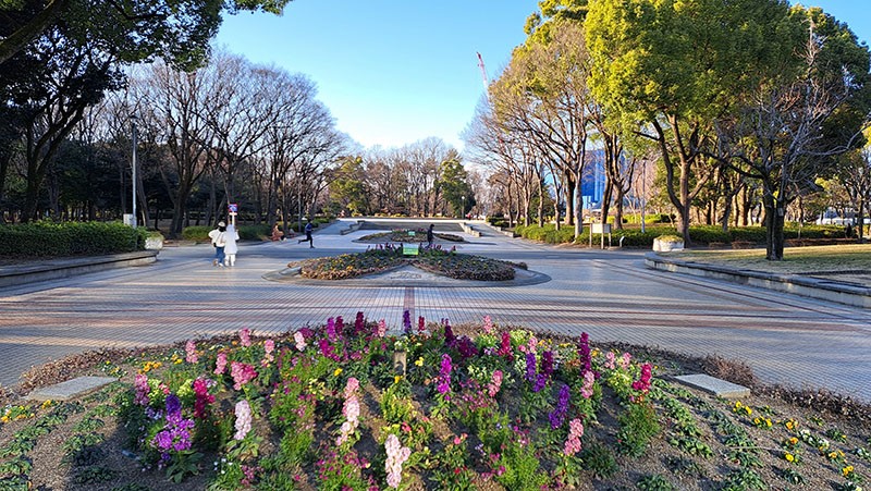 　下午兩點左右到達名古屋市中心，停車場定位在名城公園的停車場，原來名古屋城旁邊就有停車場，兩停車場相隔二百多米。但錯有錯著，名城公園有很漂亮的花卉，也有飲食地方，如有時間，名城公園也是值得漫遊的地方。