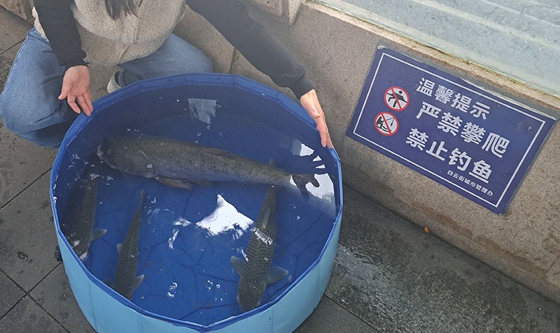 　好大條魚。