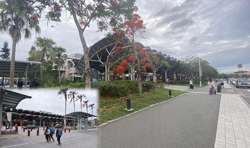 　重見熟悉的台東車站，跟六年前相比，樹木大了及多了很多。