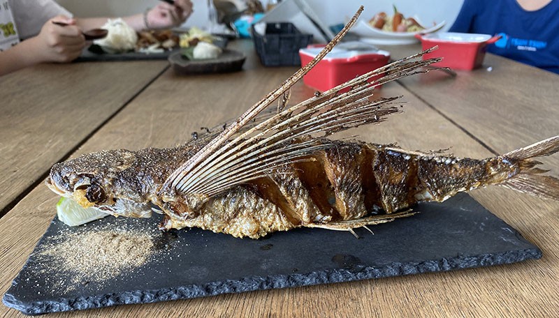 　看這間餐廳有檔次，問一問有沒有飛魚魚生吃，店員相當意外，說飛魚是當地人神聖的食物，多是水煮及曬炸，沒聽說過有生吃，看來笨忍來前是被有些節目誤導了。<br /><br />　這裡也有炸飛魚，但昨晚剛吃過，旁邊有客人點飛魚，那就借來拍照。