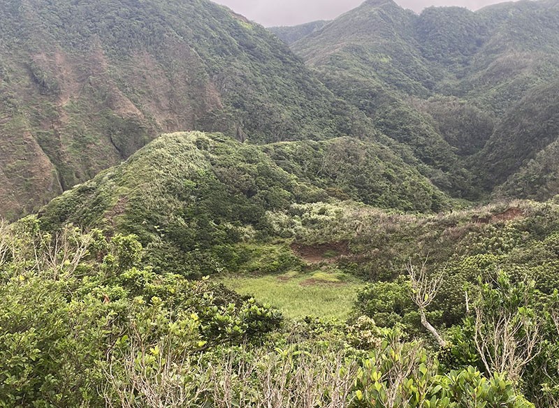 　只見一小塊小草地，這段日子下這麼多雨都沒水池？