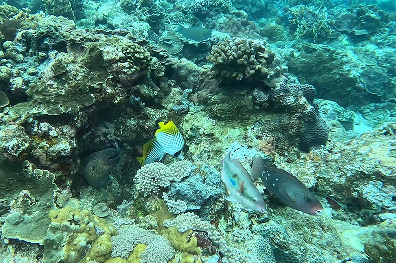 GOPR5138a.jpg