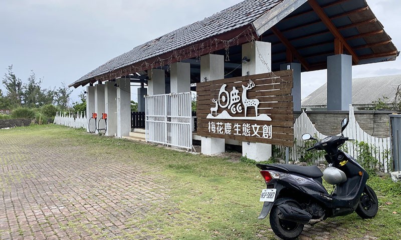 　來前知綠島有千幾隻野生鹿，上山後才知要買門票，TWD200。