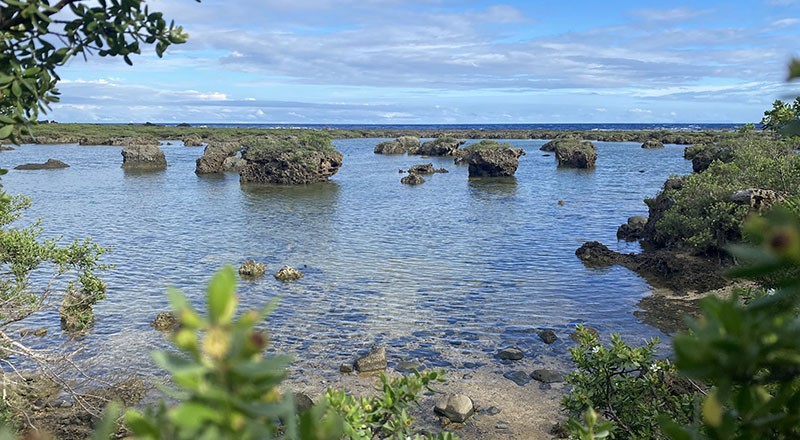 　「紫坪」是一處由珊瑚礁構成的潮池，也是綠島著名的潟湖所在地，有全綠島最完整的潟湖地形以及珊瑚礁植群，更有茂盛的植物水芫花和珍貴的陸寄居蟹。<br /><br />　外海儘管浪濤洶湧，內湖依然波平如鏡，宛若沉睡的湖水，清淺的躺在外珊瑚礁岩與內珊瑚貝砂灘間；水芫花灌叢身影倒映於平靜無波的水面上，潔白柔細的白砂鋪陳水底。熱帶海岸旖旎風情，盡在不言中。