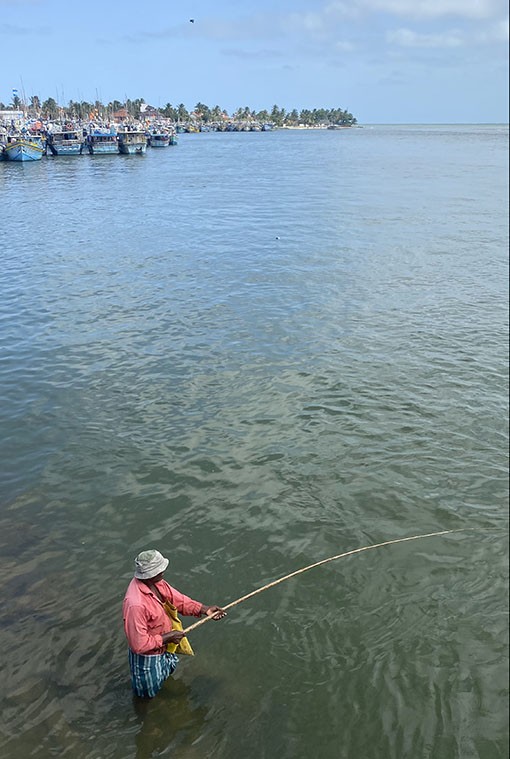 　橋下釣魚更吸引，一分鐘就有一條巴掌大的魚上釣。