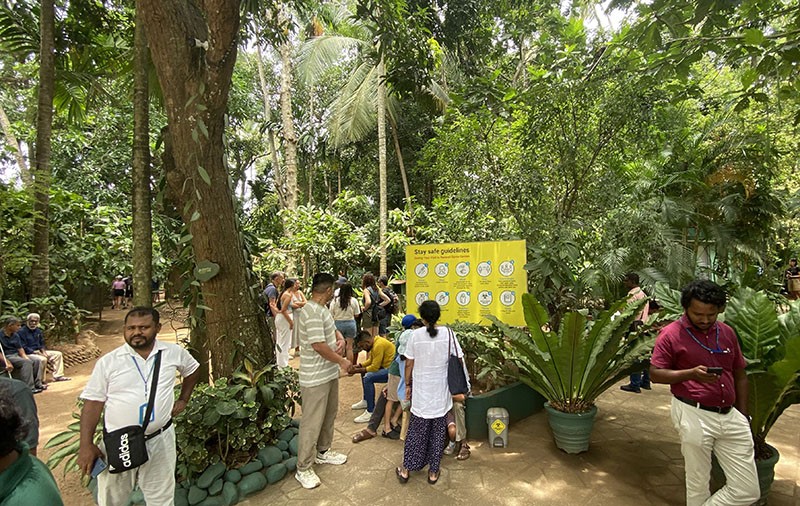 　不久經過路邊一很熱鬧的地方，原來是一香料園，初時以為是一植物園，原來是香料公司在一小塊地上種有可可、胡椒、荳蔻、小荳蔻、香草、肉桂…各種香料植物，供人參觀，有一職員熱心介紹香料樹種及其用途。