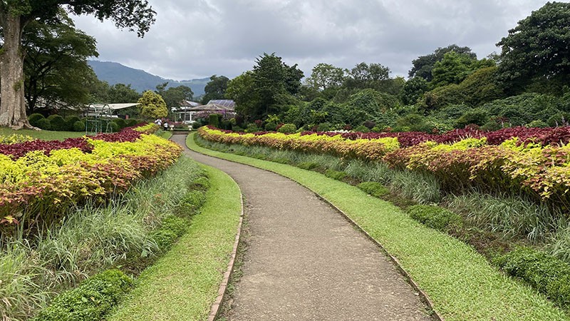 　進入花園範圍。
