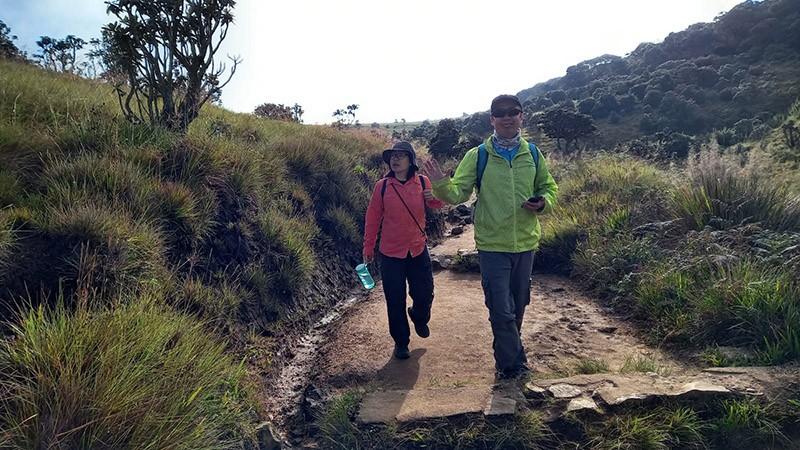 　公園內的植被可分為雲霧森林和山地草原兩大類別，沒什麼大起落，入門級的行山路線。