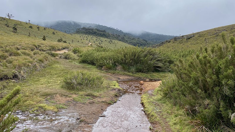 　剛才還藍天白雲，不一會兒就變陰天，但陰天行山挺舒服。