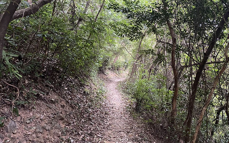 　跟著便是小山徑。