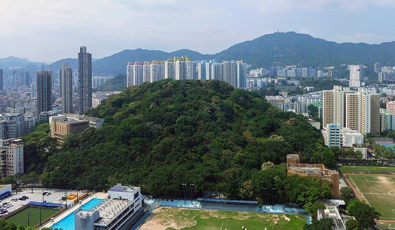 　窩仔山是香港九龍深水埗區的一座山丘，高87米，各方面感覺都很像澳門的青洲山。(網上圖片）