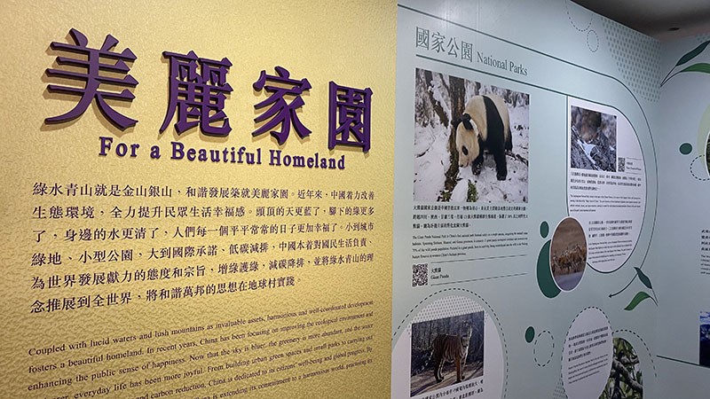 　一系列綠色發展的舉措落地見效，人與自然和諧共生。