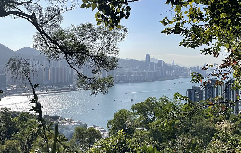 　原來維港東面窄窄地的地方叫鯉魚門，對以前的英軍來講是軍事要塞，因此也在魔鬼山山頂建有軍事設施如炮台及碉堡等鎮守此處，因此魔鬼山又叫炮台山。