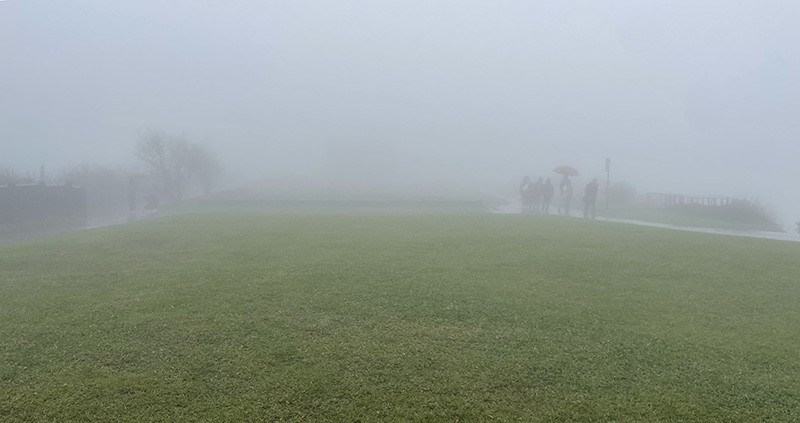 　擎天崗果如工作人員所言比較小風雨，只有毛毛雨。